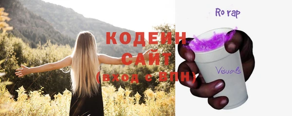прущие крисы Горняк