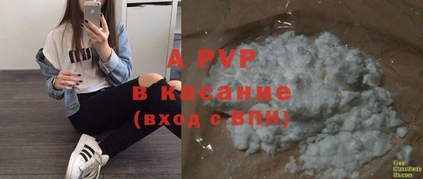 прущие крисы Горняк