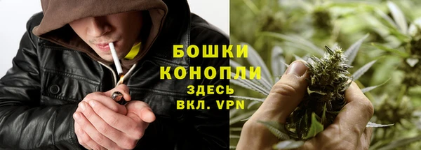 винт Гусиноозёрск