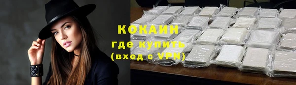ГАЛЛЮЦИНОГЕННЫЕ ГРИБЫ Гусь-Хрустальный