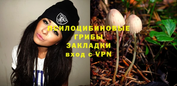 прущие крисы Горняк