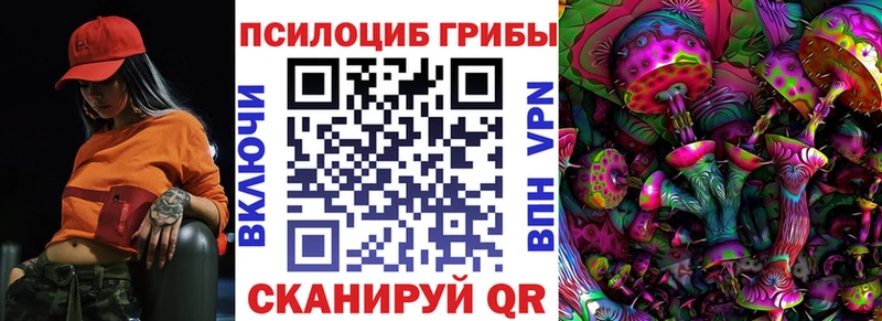 Псилоцибиновые грибы MAGIC MUSHROOMS  МЕГА сайт  Демидов  сколько стоит 